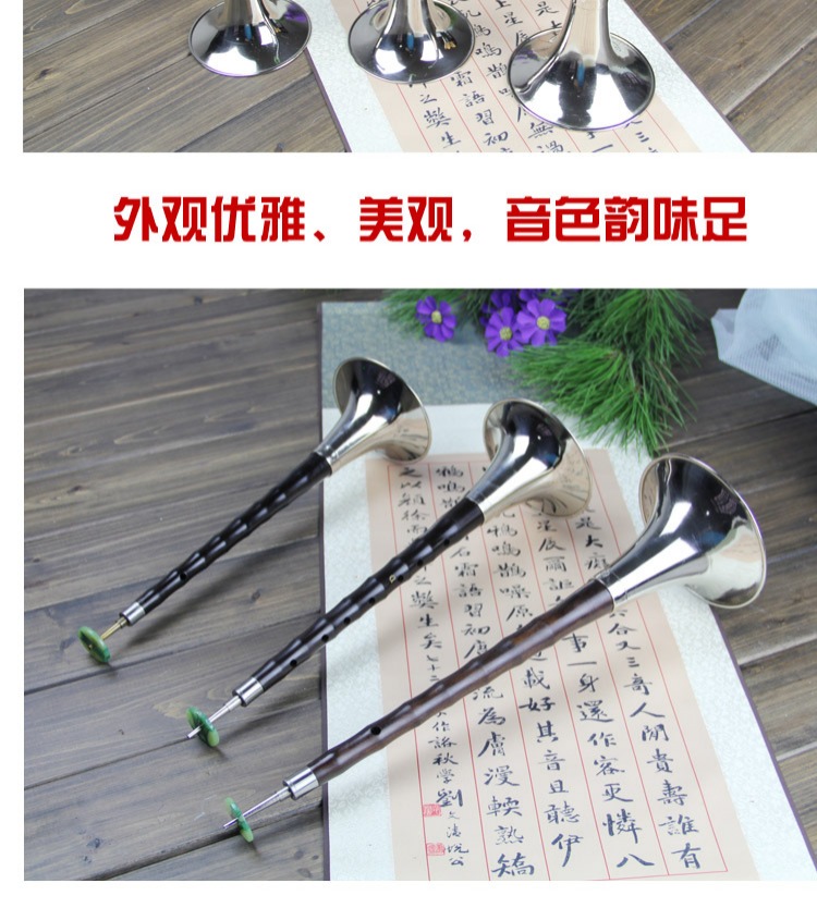 Nhạc cụ dân tộc chơi mun chơi người mới bắt đầu ABCDEFG có thể điều chỉnh các nhà sản xuất lau sậy tùy chọn đàn nguyệt cầm