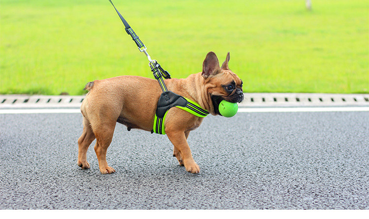 Неизвестно -1_03.jpg