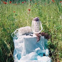 Multicolor Georgian Designer 0711 Pearl Hand bag Leli