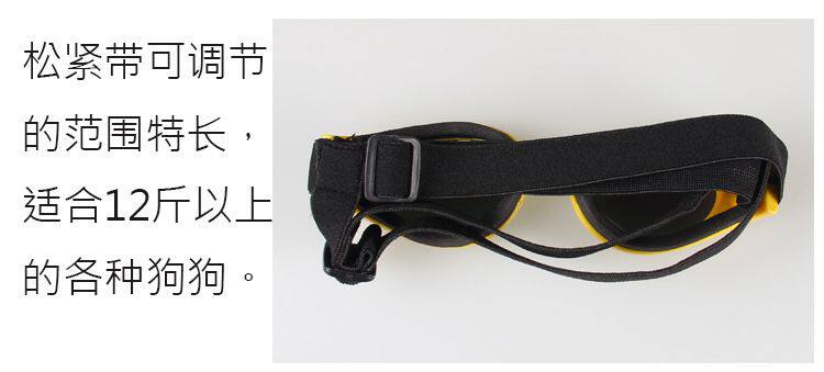 B0109 Собаки и собака Meic Mirror DeftiaL_14