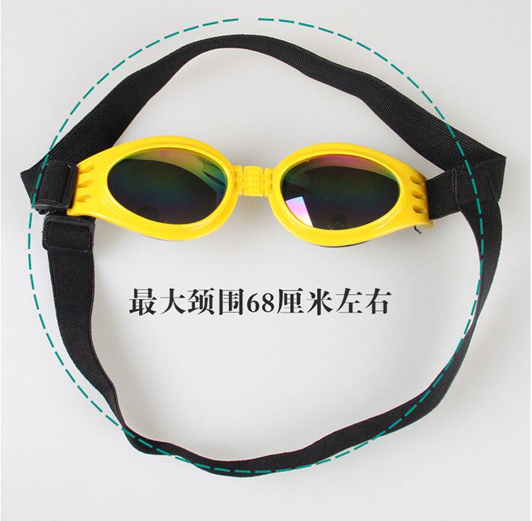 B0109 Собаки и собака Meic Mirror DeftiaL_03