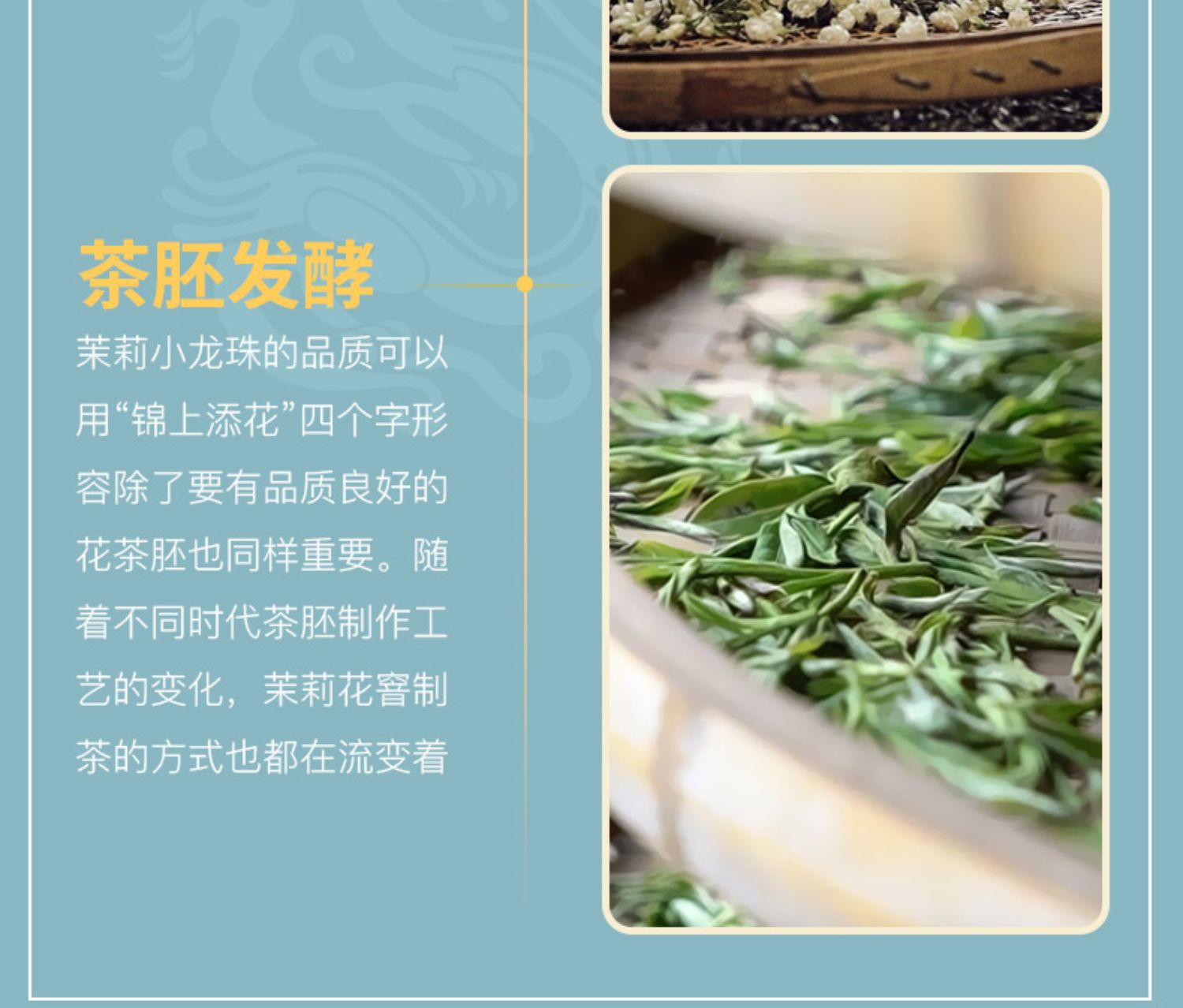 茉莉花茶茶叶浓香型新茶耐泡