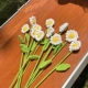 E14-Single Daisy Single Branch Products