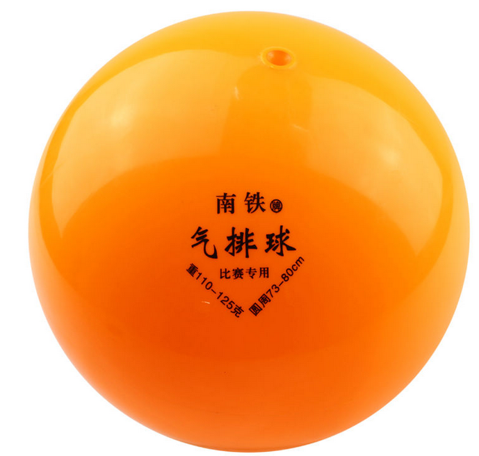 Ballon de volley - Ref 2007943 Image 8