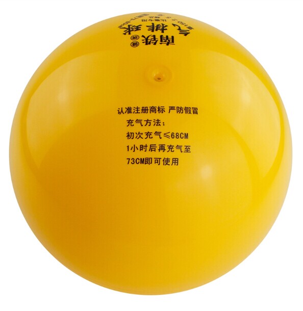 Ballon de volley-ball - Ref 2009616 Image 8