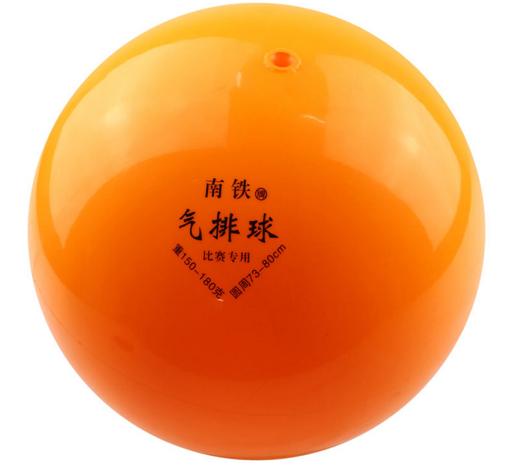 Ballon de volley - Ref 2007943 Image 14