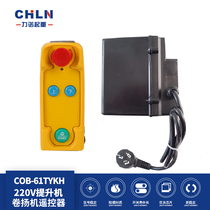 Linuo COB-61TYKH 220V with emergency stop hoist remote control electric hoist remote control