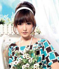 Extension cheveux - Chignon - Ref 236928 Image 37