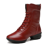 Красная целая кожа