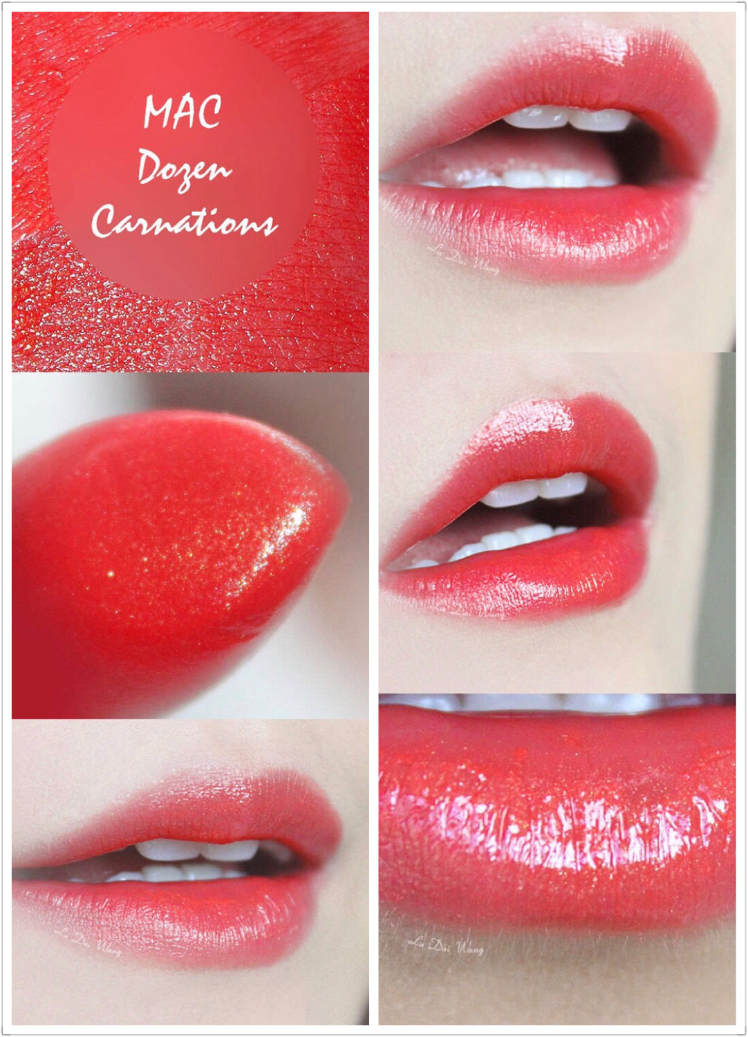 mac dozen carnations