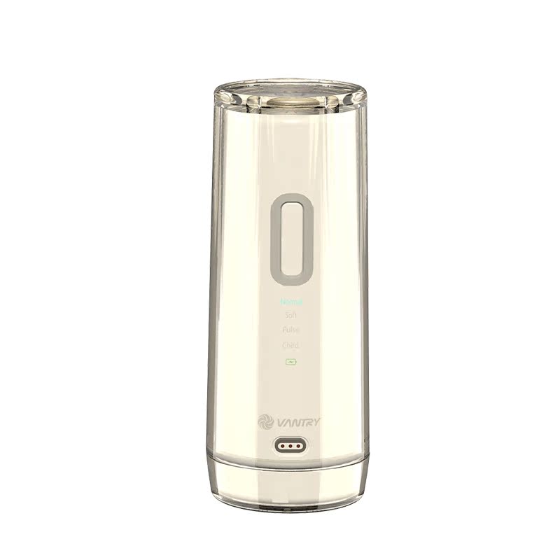 New portable flosser transparent gray