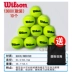 Authentic Wilson Wilson thắng tennis Wilson bóng tập luyện Không bóng tập thể dục áp lực WRT13600 bóng tennis giá rẻ Quần vợt
