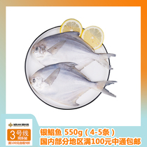 Wild sea-catching silver pomfret 550 gr (4-5 strips) of meat fine and tender East Sea silver pomfret