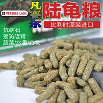 Belgium Versaille Land Turtle Grain Grass Grain Tortoise feed fruits and vegetables High fiber Prevention calculus Lathin anti-Ryu Back