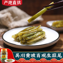 Xiao Guansheng garlic tail Sweet and sour garlic tail Guangdong Zhanjiang specialty Xiao Guansheng Garlic Factory 2 kg Wu Xiaochuan preferred