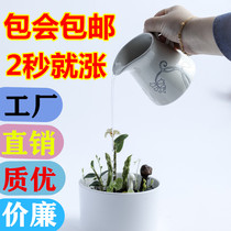 All things grow salad tableware full pack will fruit vegetable plants grow salad potted