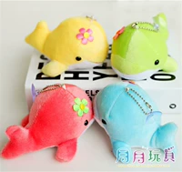 Верблюд дельфин