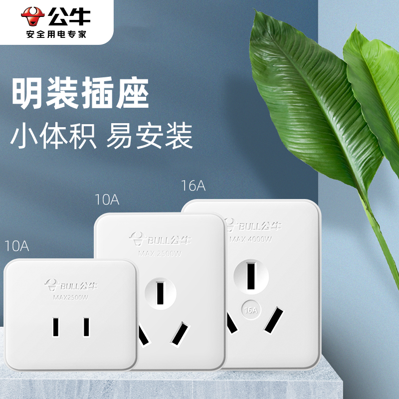 Bull surface mounted panel socket Z1 flat hole two-hole two-pin single-phase two-pole wall 10A plug 16A simple socket