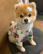 Korean Pets Spring Summer Strawberry Bunny Vest Beating Bottom Jersey S Cute Warm Dogs Clothes Kitty Jersey Undershirt