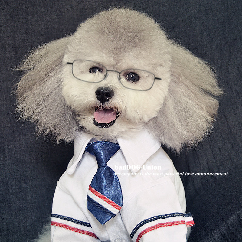 (badDOG) Pet Autumn and Winter Tide Brand Shirt Teddy Bichon Schnauzer Bucket Shirt Dog Cat Clothes