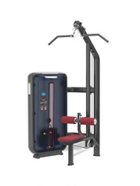 新 NewNoble XG-Z-6020 双滑轮背肌训练器健身房商用力量单机