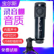 Condenser microphone computer recording dedicated live game dubbing network class recording home USB socket