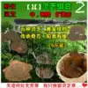 Changbai Mountain wild Ganoderma lucidum 6 kinds with birch brown hole bacteria Pine needle layer hole bacteria Mulberry yellow wood hoof hole bacteria Flat cover ganoderma lucidum