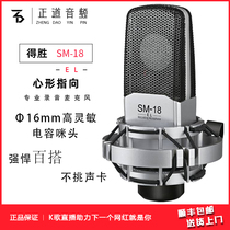 Takstar Wins SM-18 EL Capacitive Microphone K Song Live Device Professional Audio Recording Microphone