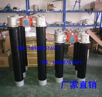 SRFB hydraulic double cylinder return filter SRFB-630 800 1000 1300*10 20FY C oil filter