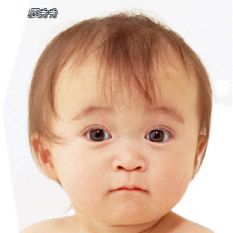 老飞飞辅助吧