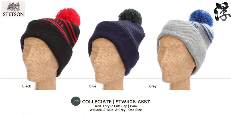 American Imports Stetson Multicolored all sizes COLLEGIATE AMERICAN CAMPUS FASHION YOUNG STYLE WARM HAT 