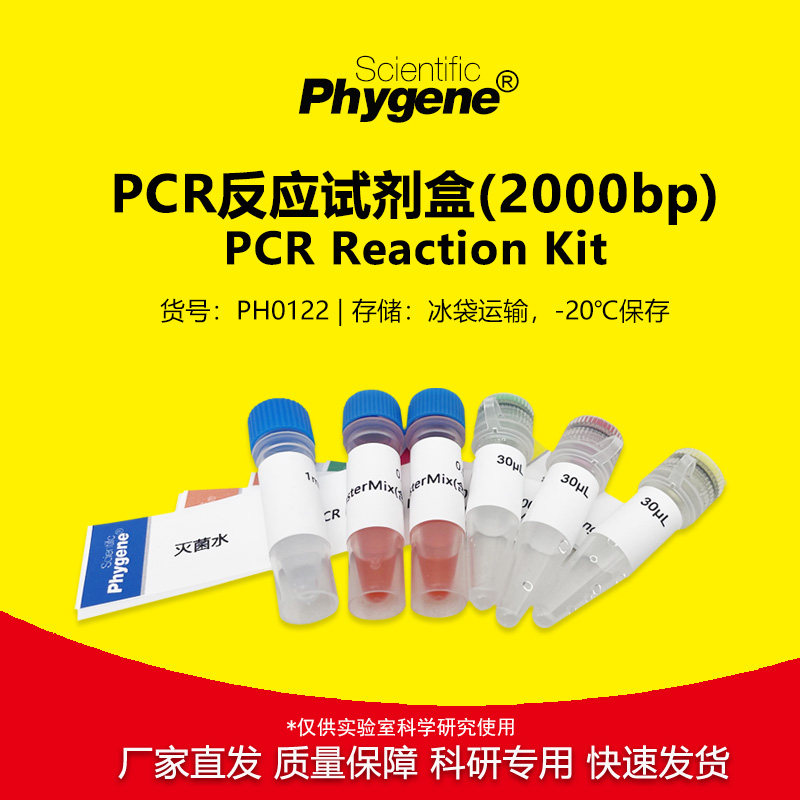 PCR反应试剂盒(2000bp) 20T PCR试剂盒实验教学 [PH0122 PHYGENE]