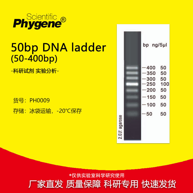 50bp DNA Marker ladder（50-400bp）100T [PH0009 PHYGENE]