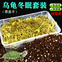 Tortoise hibernation supplies Tortoise winter coconut moss grass sand mat Tortoise insulation feeding box Tortoise hibernation box