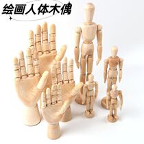 Painting Auxiliable Joint Model Handle Writing Model Puppet Model Human Model