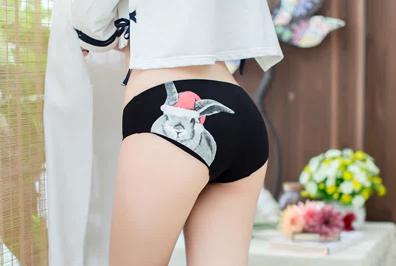 Slip jeunesse METION N044 en coton - Ref 641380 Image 9