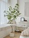 Large Artificial Horsewood Tree for Indoor Living Room Decoration, High-End Simulated Plant