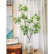Loushujia Artificial Plant Japanese Boxwood Hanging Bell Fake Flower Potted Plant Clothing Store Indoor Nordic Decoration Green Plant