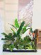 Loushujia Artificial Green Plant Landscaping under the Stairs Indoor Landscape Combination Decorative Ornaments Micro Landscape Fake Plant Tree