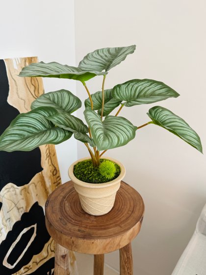 Loushujia Artificial Green Plant Potted Plants for Windowsill, Entrance, Dining Table, Home Decoration, Office Artificial Plant Bonsai