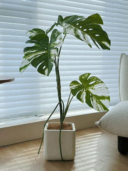 Loushujia White Monstera Artificial Green Plant Living Room Decoration Luxury Fake Tree Large Artificial Plant Potted Plant