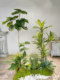 Loushujia Artificial Green Plant Landscaping Tropical Large Floor-Standing Indoor Areca Palm Hanging Clock Decorative Fake Plant Landscape