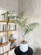 Loushujia Artificial Green Plants, High-End Light Luxury Japanese Zen-Style Simulated Plants, Monkey Head Fern Landscaping, Indoor Ornaments, Potted Plants