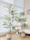 Loushujia Artificial Green Plant Indoor Decoration Ornament, Nandina Bamboo Floor-Standing High-End Light Luxury Potted Plant, Simulated Fake Plant Tree