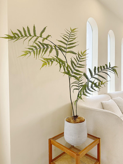 Loushujia Artificial Green Plants, High-End Light Luxury Japanese Zen-Style Simulated Plants, Monkey Head Fern Landscaping, Indoor Ornaments, Potted Plants