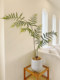Loushujia Artificial Green Plants, High-End Light Luxury Japanese Zen-Style Simulated Plants, Monkey Head Fern Landscaping, Indoor Ornaments, Potted Plants