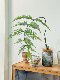 Loushujia Artificial Green Plant Monkey Head Fern, High-End Decorative Piece for Living Room, Floor, Dining Table, and Next to Sofa, with a Zen-Inspired Minimalist Style