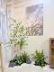 Loushujia Artificial Indoor Landscape Combination Fake Green Plants for Decorating under Stairs Micro Landscape Fake Plant Trees