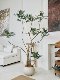 Top Ten Achievements of Lou Xia's Family: Simulated Green Plants for Indoor Living Room Floor Decoration, High-End Light Luxury Artificial Plant Trees