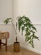 Loushujia Artificial Green Plant Monkey Head Fern Indoor Window Fake Plant Decoration Ornament Japanese Style Trendy Zen Bonsai